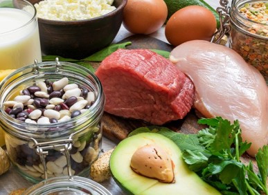 Alimentação balanceada: proteínas